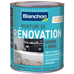 peinture-renovation-cuisine-et-bain-1l-gris-lin-blanchon|Peinture intérieure