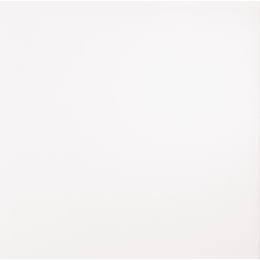 carrelage-sol-aleluia-brancos-33-3x33-3-1m2-paq-branco-mat|Carrelage et plinthes classiques