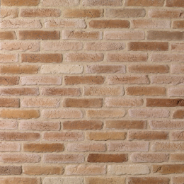 parement-brique-22x5x1-brun-nuance-0-50m2-paq|Parements