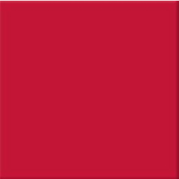 faience-primus-unis-20x20-1-60m2-paq-rouge-vermelho-590-0|Faïences et listels