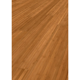 parquet-bambou-15mm-13x102-ecofloor-caramel-verni-horizontal|Parquets et plinthes