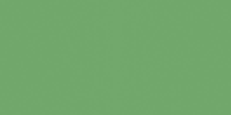 faience-rako-color-one-20x40-1-60m2-p-waamb456-vert-brillant-0