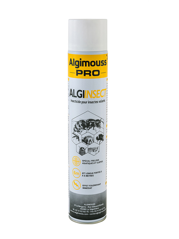 insecticide-algi-insect-750ml-aerosol-017001-0